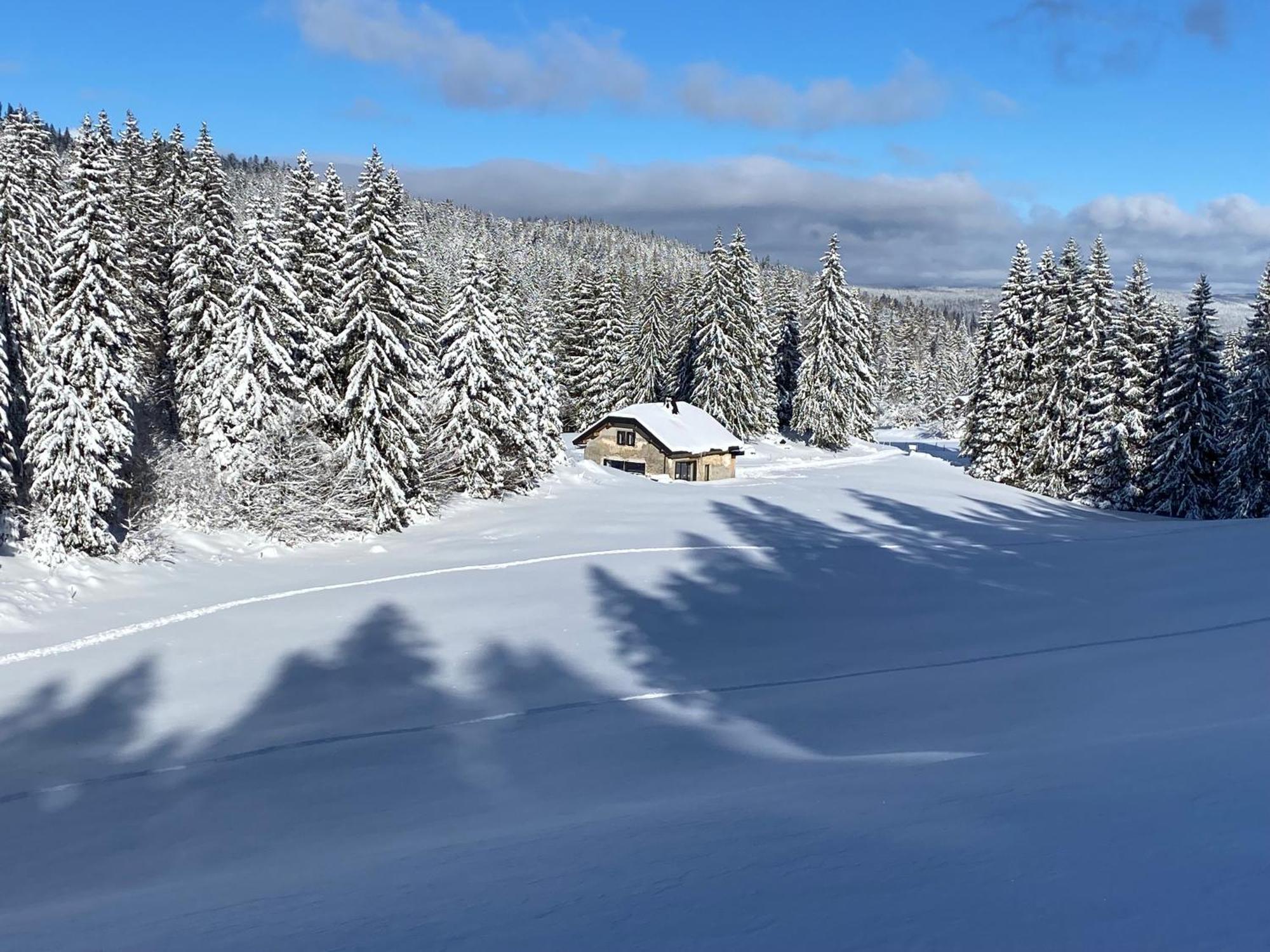 Hotel La Loge De La Dolarde - Chambre Nord-Est à Prémanon Extérieur photo